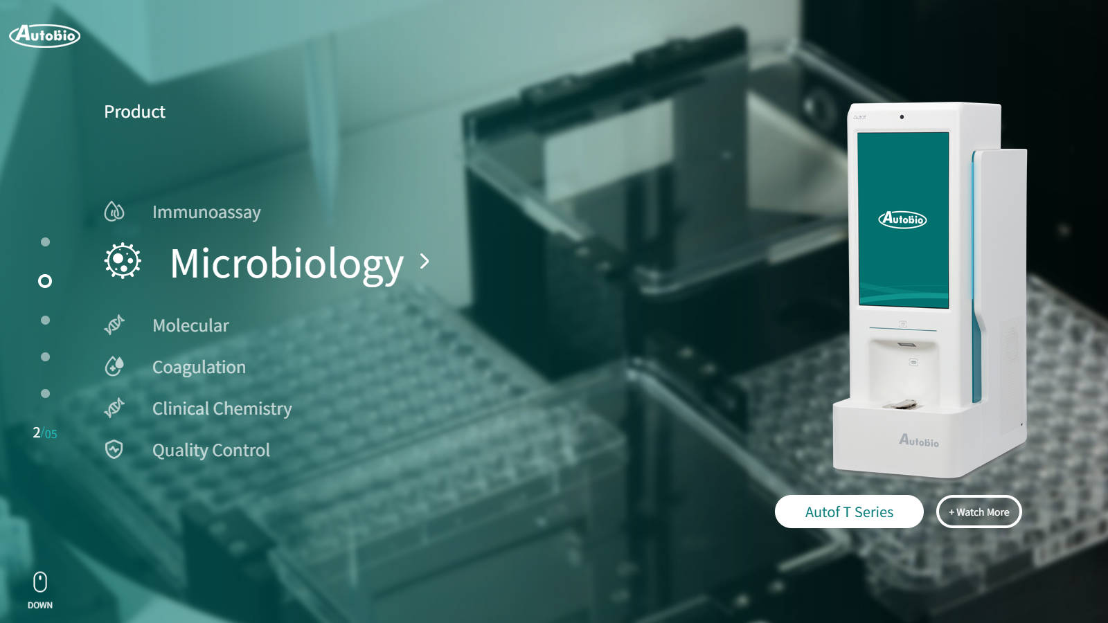 Autobio (Special Recommended)