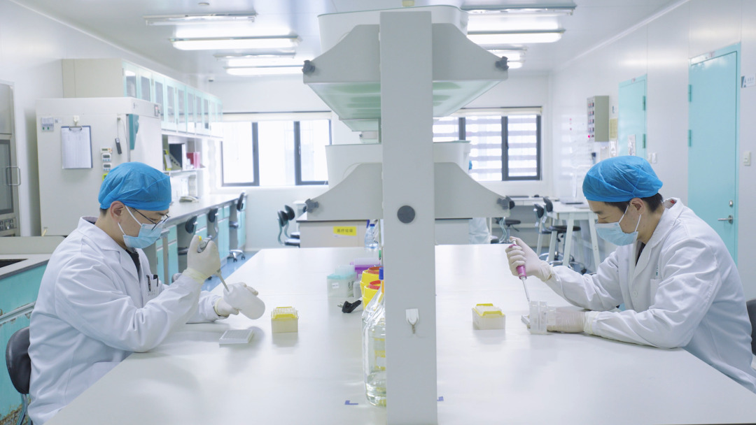 Awakening and Breakthrough