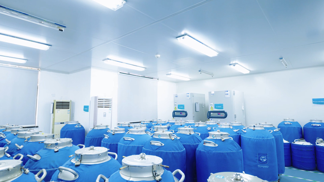 Antibody Development